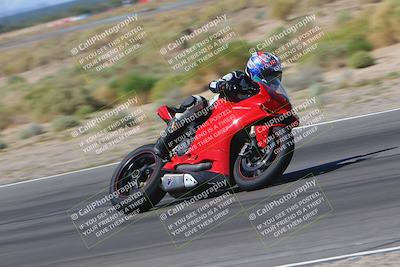 media/Oct-01-2023-SoCal Trackdays (Sun) [[4c570cc352]]/Turn 14 Side (1135am)/